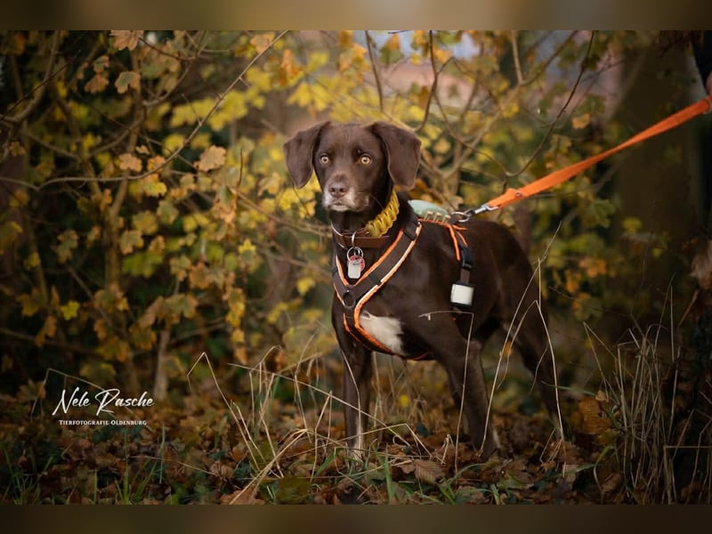 Mira - ist freiheitsliebend