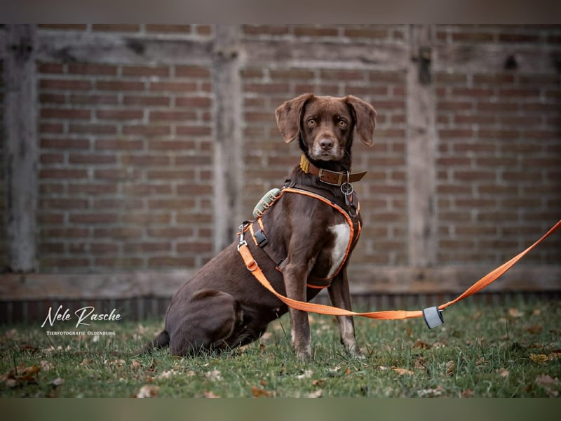 Mira - ist freiheitsliebend