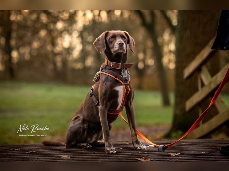 Mira - ist freiheitsliebend