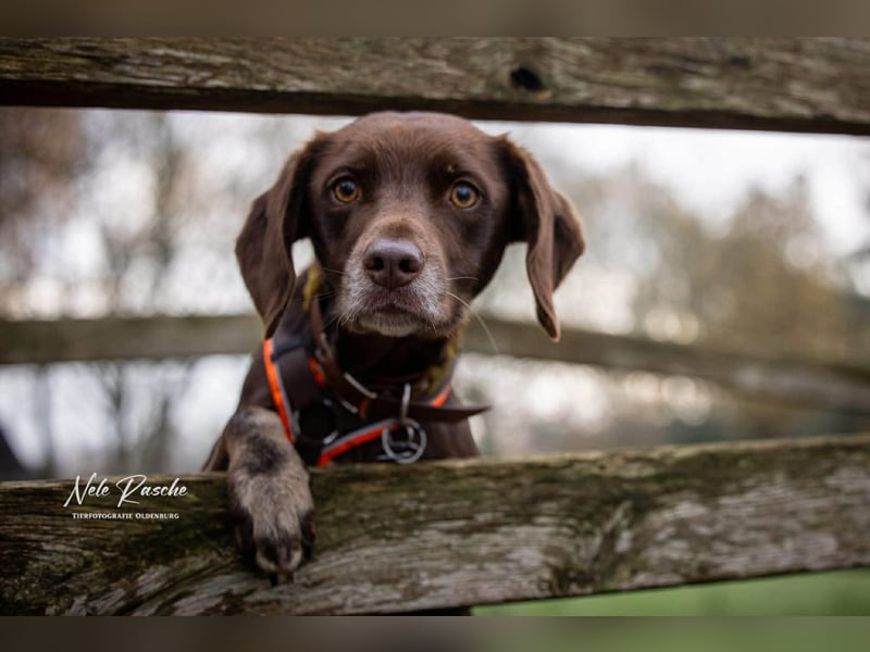 Mira - ist freiheitsliebend