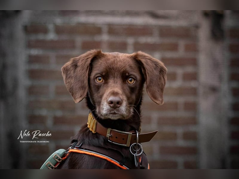 Mira - ist freiheitsliebend