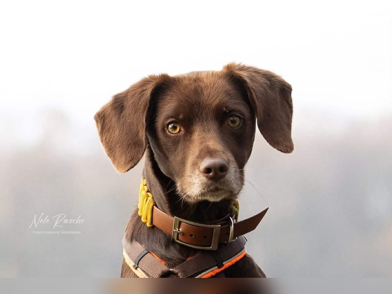 Mira - ist freiheitsliebend