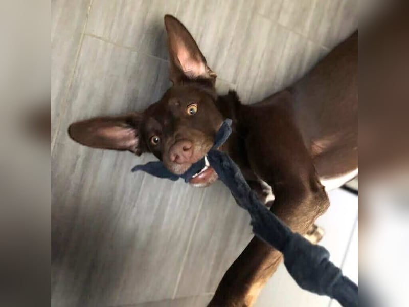 Mira- eigenständig&aktiv