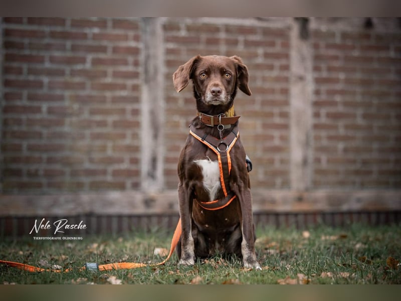 Mira - ist freiheitsliebend