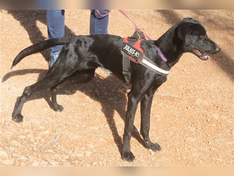 Rayo- freut sich auf ruhige Menschen