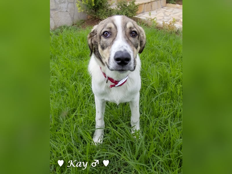 Kea  und Kay auf der Suche nach ihrer Familie