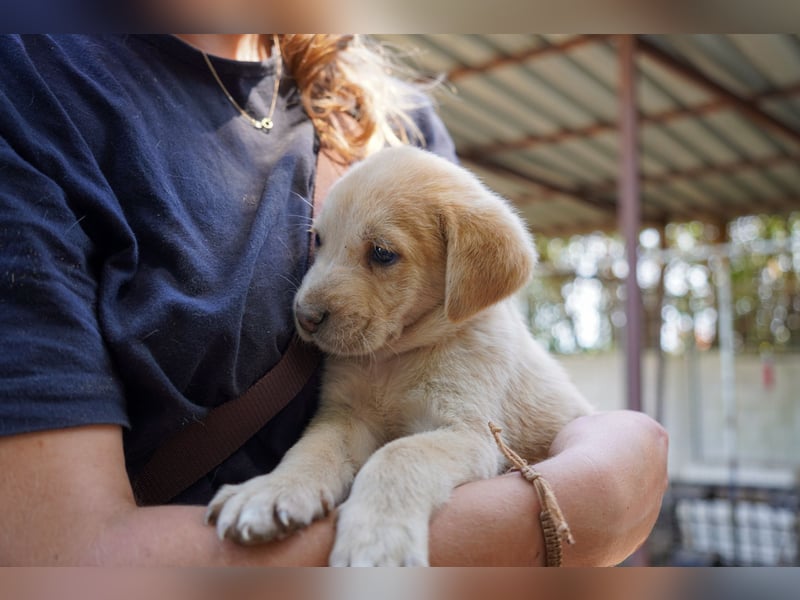 Kira, Kalle, Kasper und Karim suchen ein Zuhause