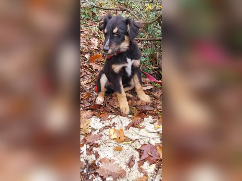 Ushio, sein Blick trifft mitten ins Herz