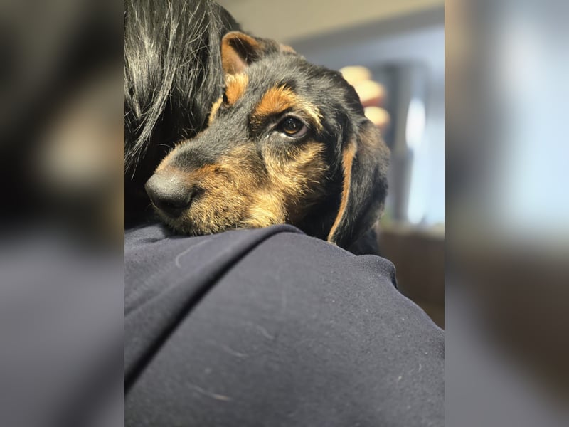 Masha sucht ein liebevolles Zuhause