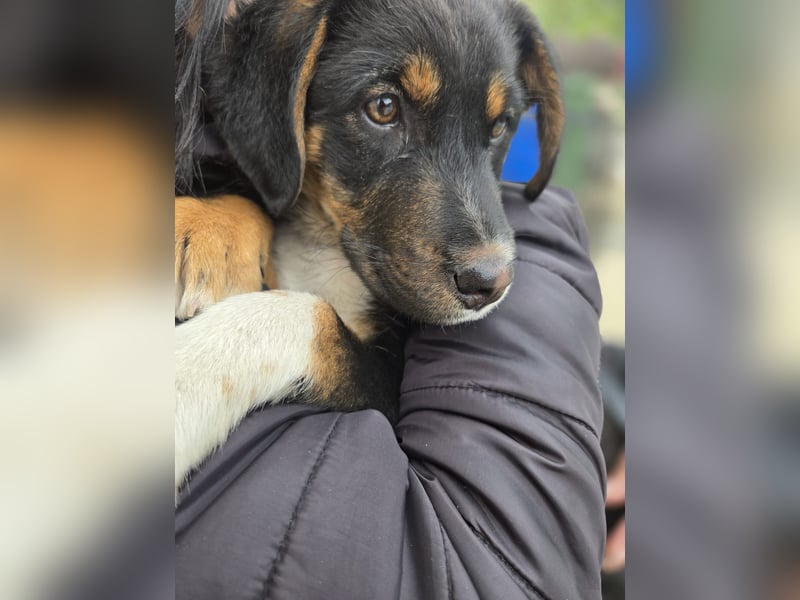 Georgina - möchte dich adoptieren oder Du sie ?