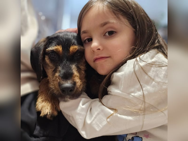 Masha sucht ein liebevolles Zuhause