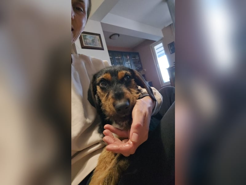 Masha sucht ein liebevolles Zuhause