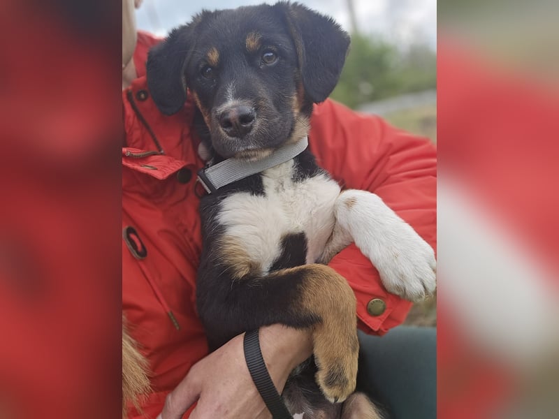 Georgina - möchte dich adoptieren oder Du sie ?