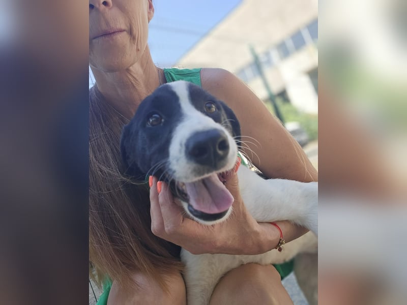 Klara - sucht Dich für gemeinsame Abenteuer