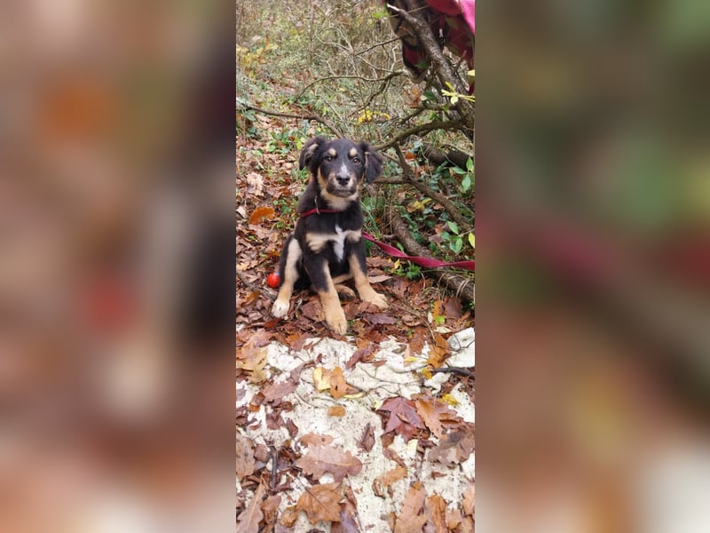 Ushio, sein Blick trifft mitten ins Herz