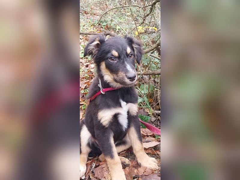 Ushio, sein Blick trifft mitten ins Herz