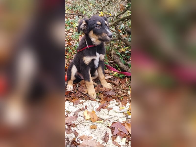 Ushio, sein Blick trifft mitten ins Herz