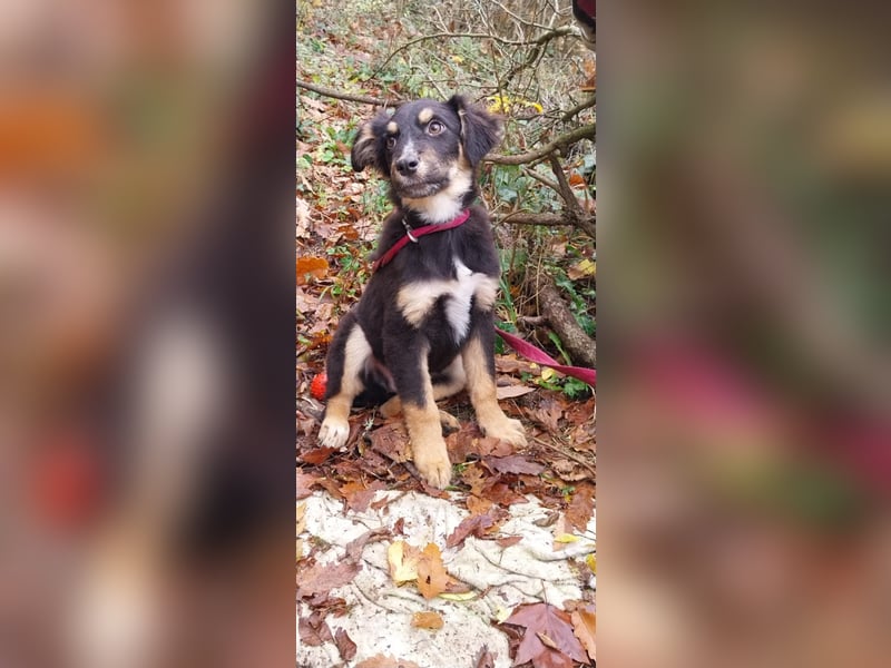 Ushio, sein Blick trifft mitten ins Herz