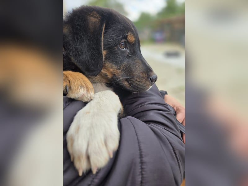 Georgina - möchte dich adoptieren oder Du sie ?