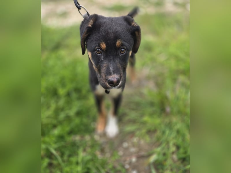 Georgina - möchte dich adoptieren oder Du sie ?