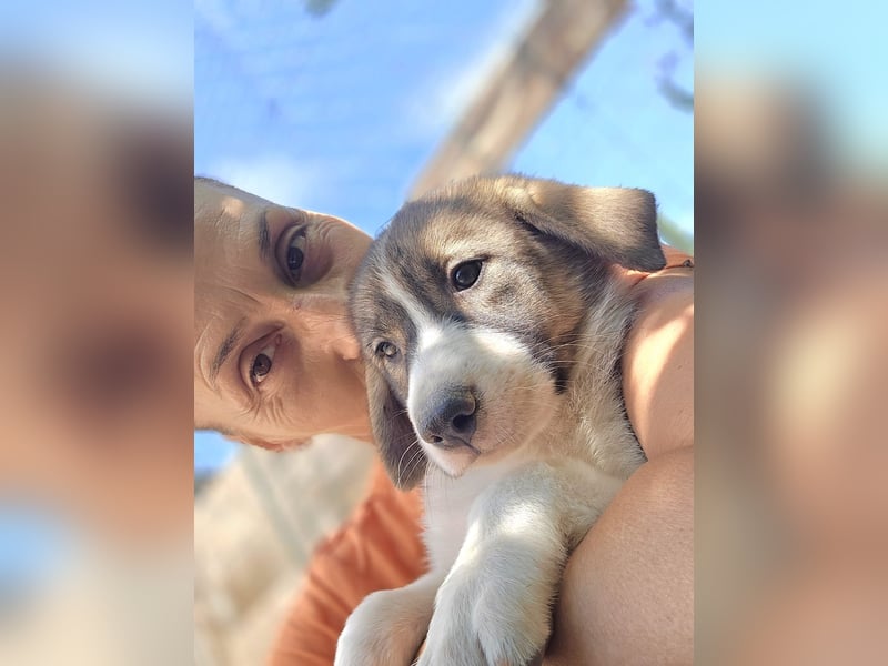 Josie - sucht ein Zuhause voller Liebe, Wärme und Menschen die sie glücklich macht