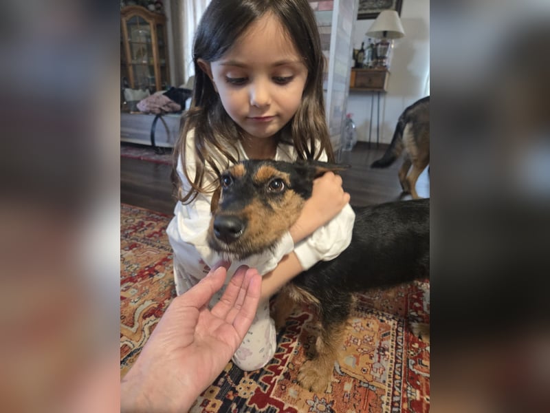 Masha sucht ein liebevolles Zuhause