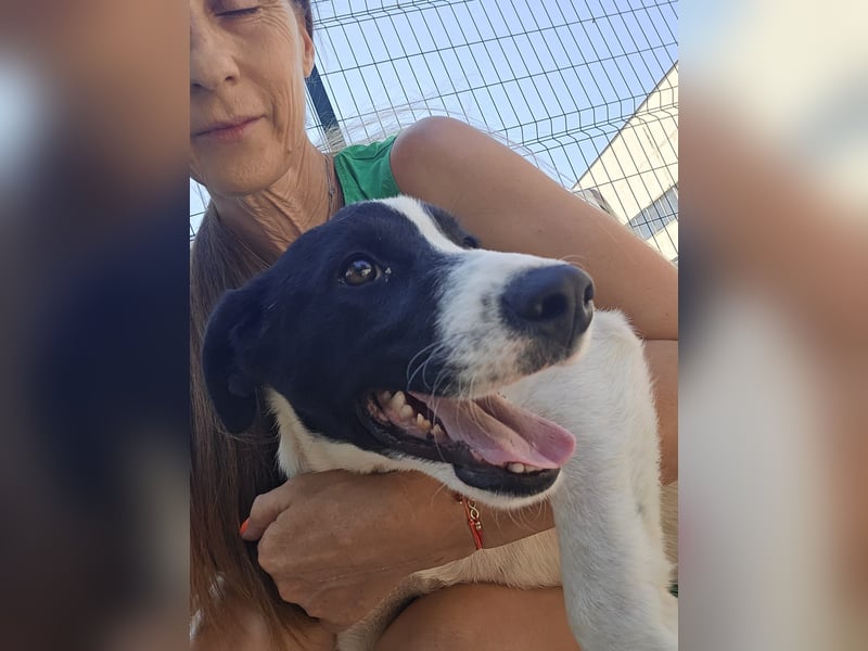 Klara - sucht Dich für gemeinsame Abenteuer