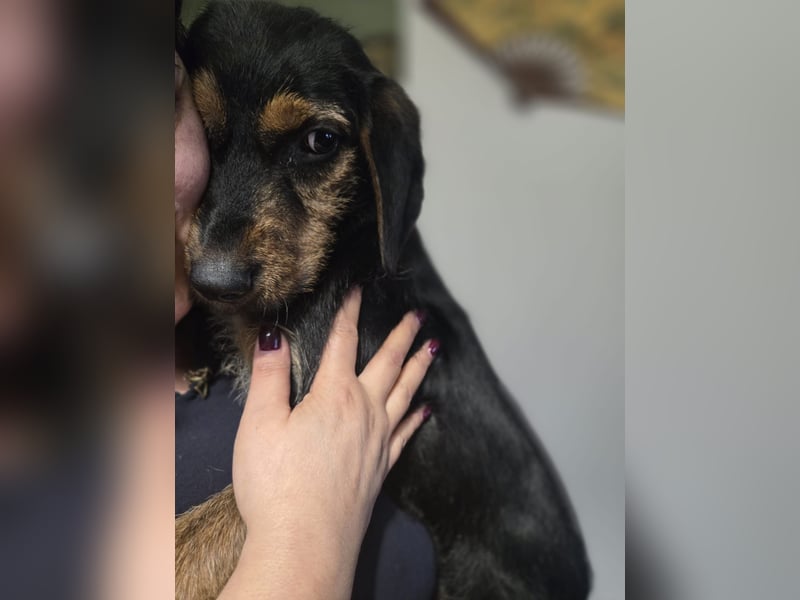 Masha sucht ein liebevolles Zuhause