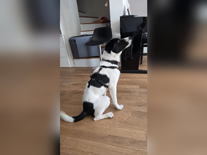 Klara - sucht Dich für gemeinsame Abenteuer