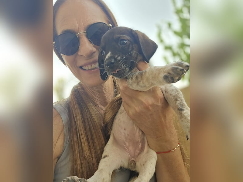 Sabrina, Abenteuer Junghund für Dich ?