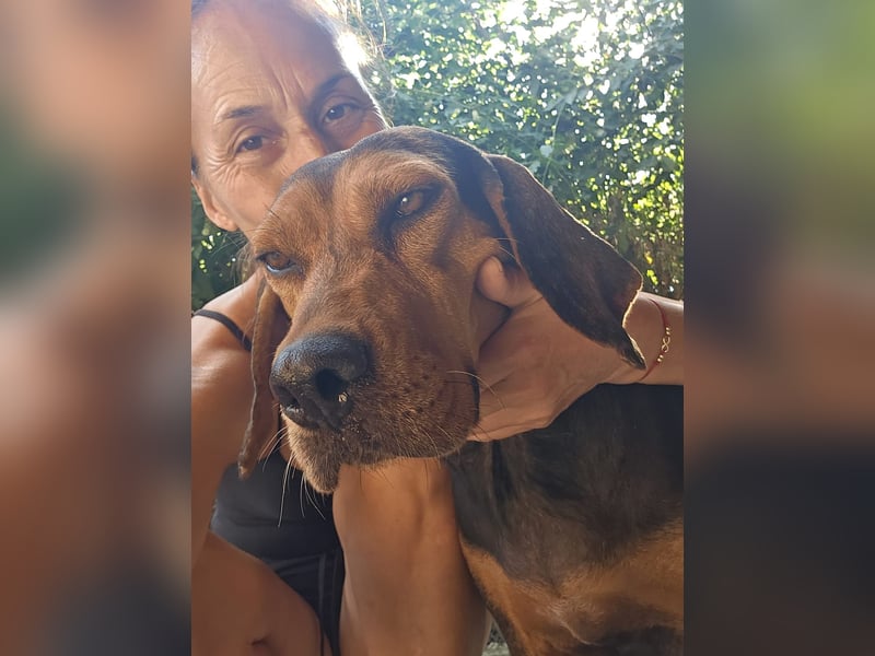 Ginger - tapfere Mama, die gerne eine Familie hätte, bei der sie ankommen kann
