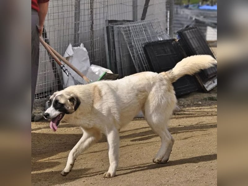 Smilla sucht Traumzuhause!