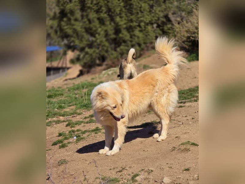 Bounty sucht wundervolles Zuhause!