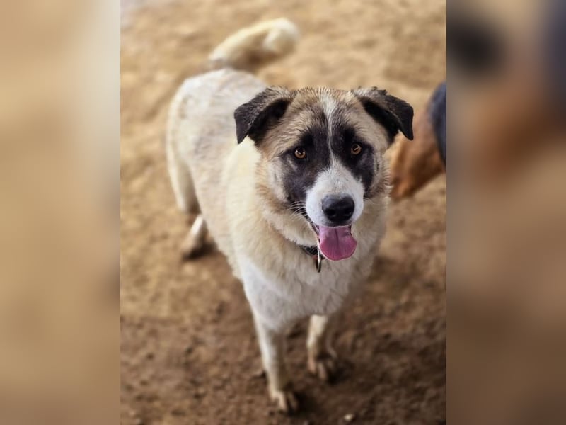 Smilla sucht Traumzuhause!