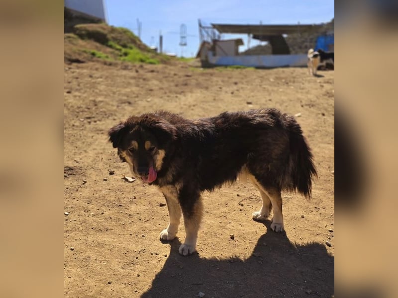 Milow sucht Traumzuhause!