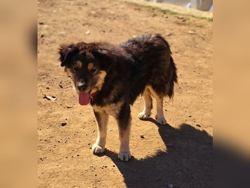 Milow sucht Traumzuhause!