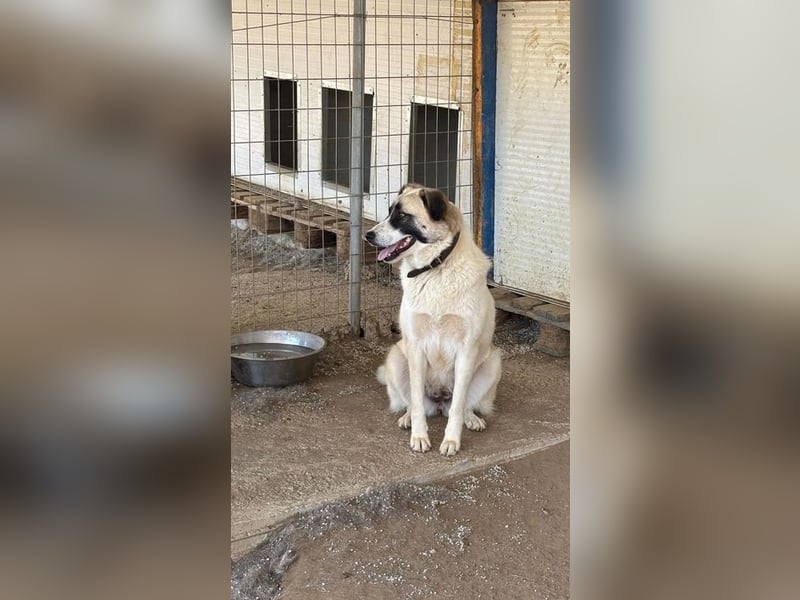 Smilla sucht Traumzuhause!