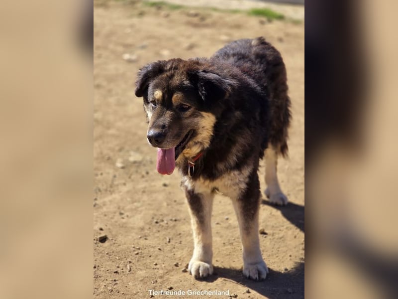 Milow sucht Traumzuhause!