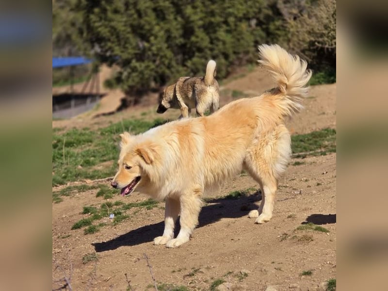 Bounty sucht wundervolles Zuhause!