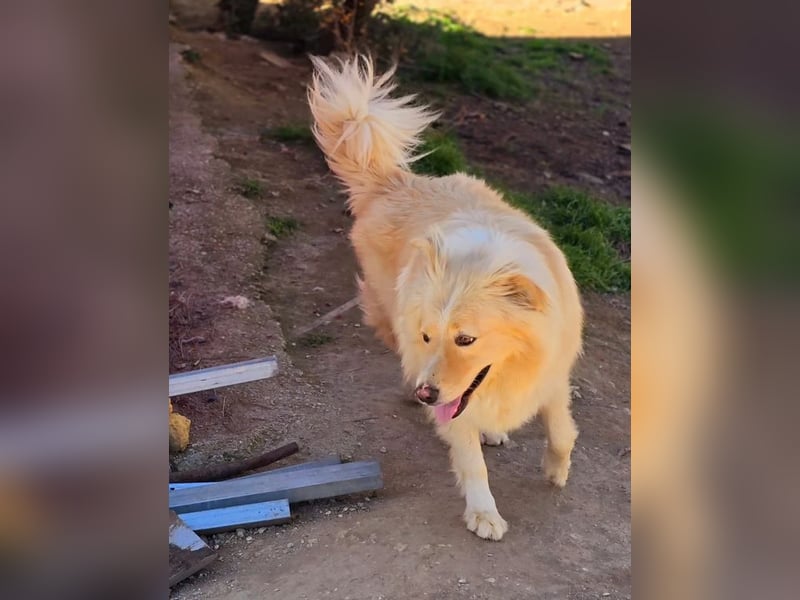 Bounty sucht wundervolles Zuhause!