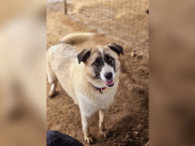 Smilla sucht Traumzuhause!