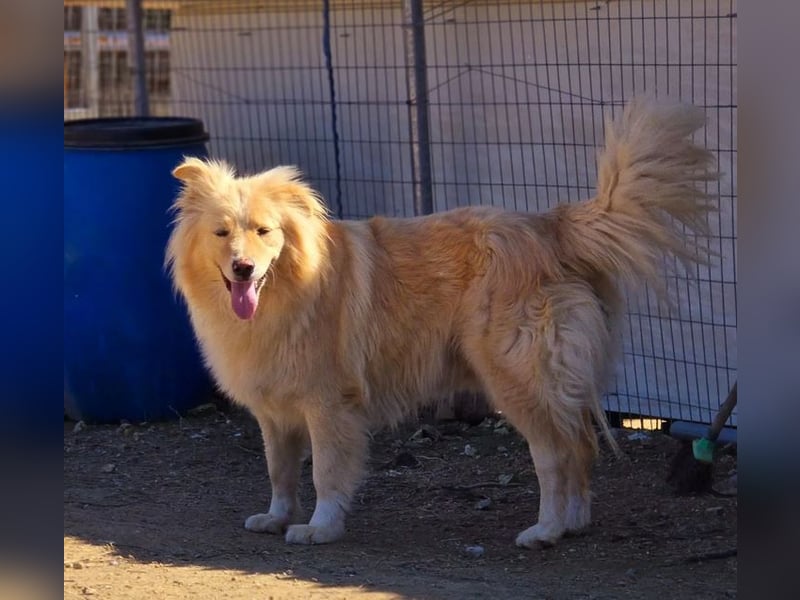 Bounty sucht wundervolles Zuhause!