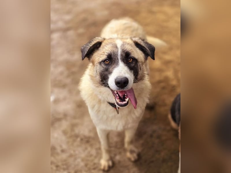 Smilla sucht Traumzuhause!