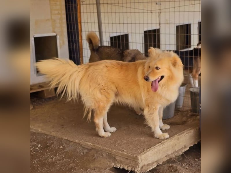 Bounty sucht wundervolles Zuhause!