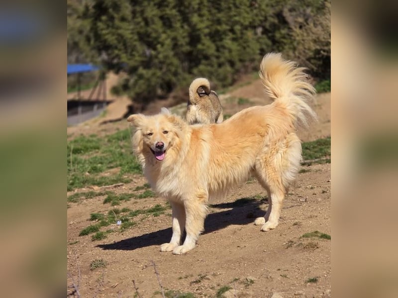 Bounty sucht wundervolles Zuhause!