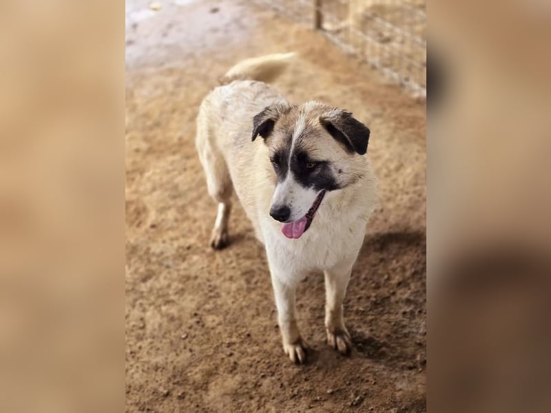 Smilla sucht Traumzuhause!