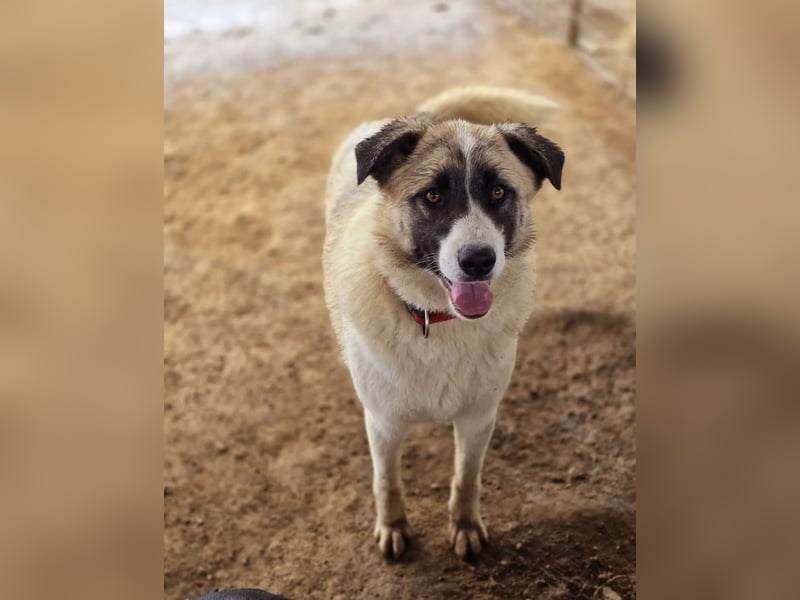 Smilla sucht Traumzuhause!