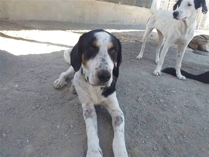 Luke, der Kämpfer ❤