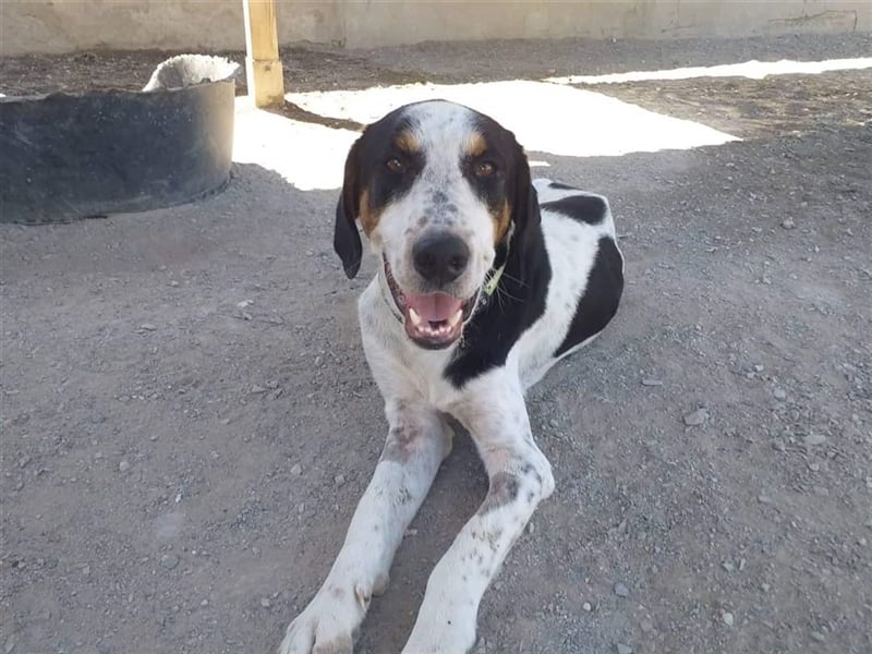 Luke, der Kämpfer ❤