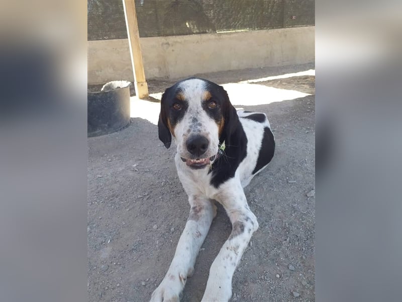 Luke, der Kämpfer ❤